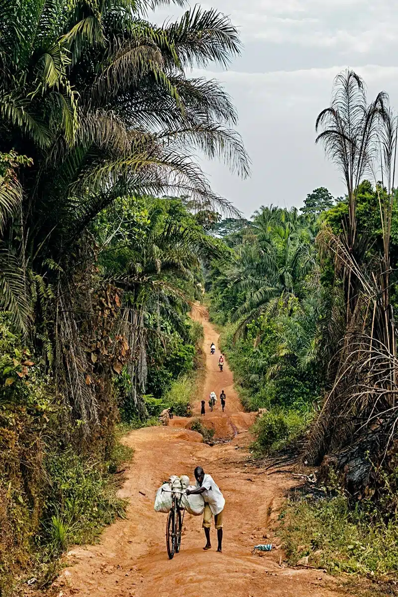 Venturing into the Remote and Untouched Ituri Forest-1