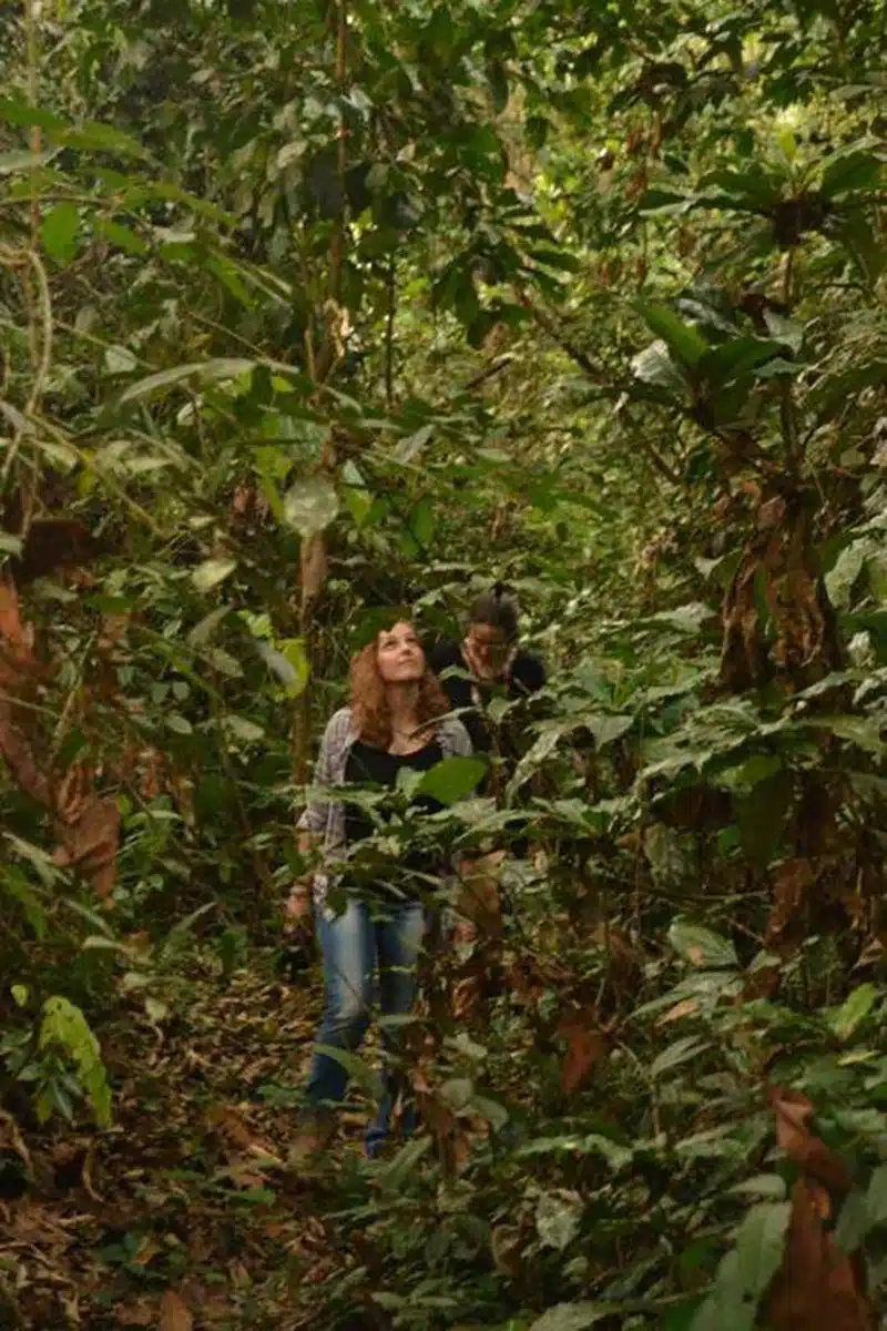 Venturing into the Remote and Untouched Ituri Forest-2