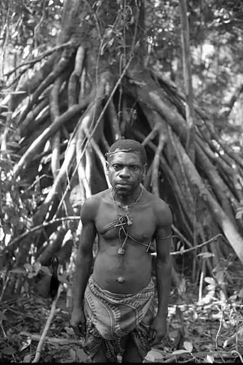 baka healer in the forest looking for medicinal plants