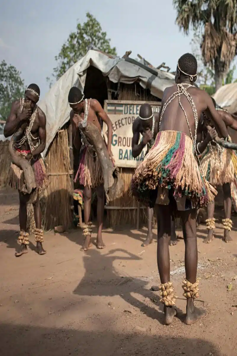 bosango pygmy dancing