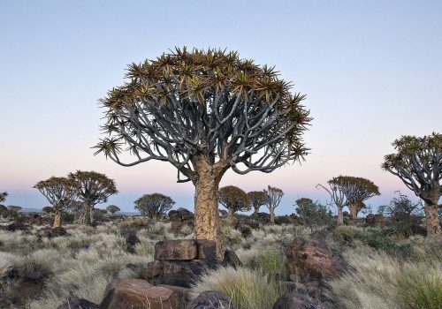 A breathtaking view of Equatorial Guinea's natural splendor