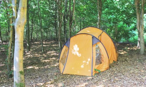 Billig camping i Østjylland