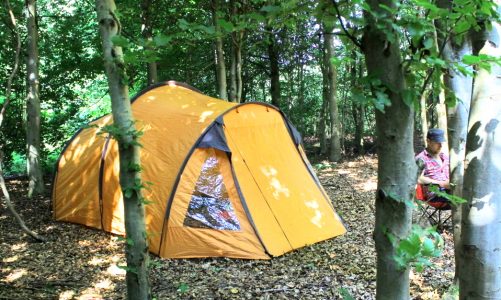 SE KORTET: Billig camping i Nordjylland – her er der fri teltning