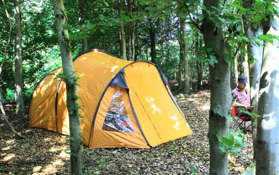 SE KORTET: Billig camping i Nordjylland - her er der fri teltning