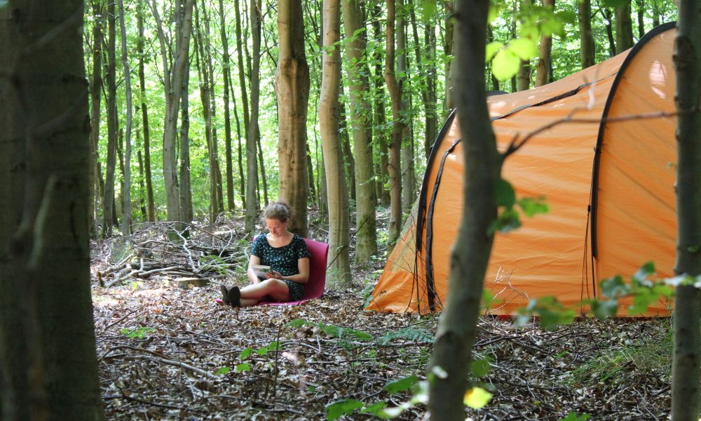 billig camping fri teltning vestjylland