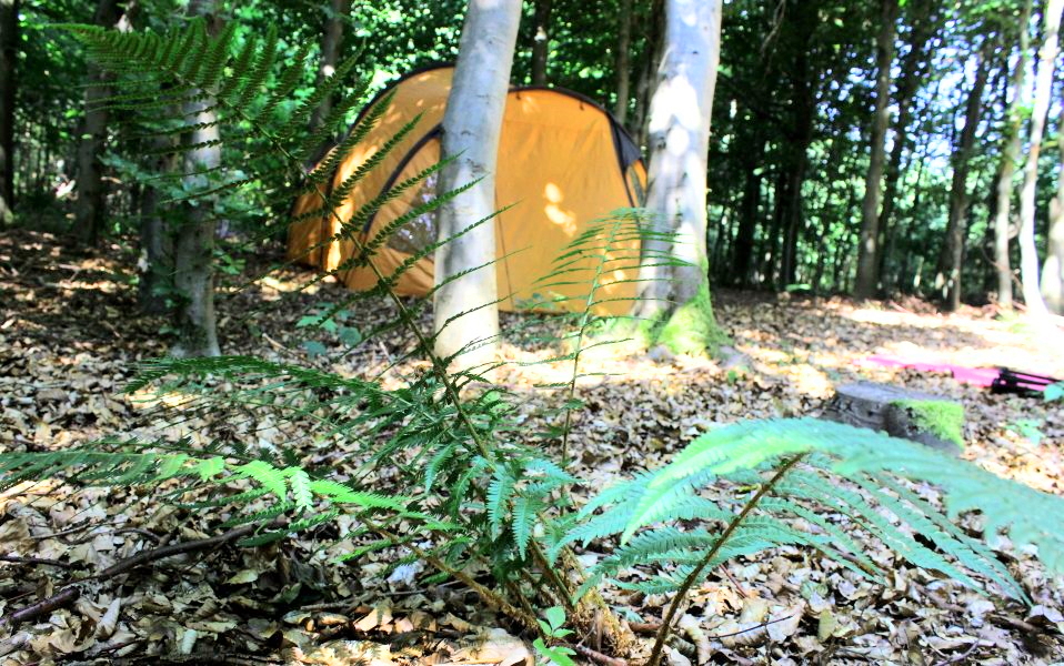 billig camping i Sønderjylland