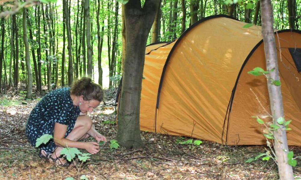 billig camping på Lolland Falster Moen