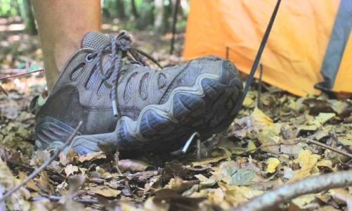 SE KORT: Fri teltning – et billig camping-alternativ på Sjælland