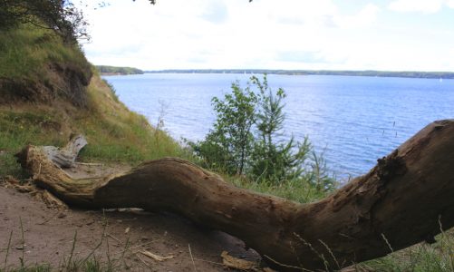 Shelter ved vandet