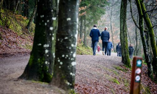 Almind Sø, Silkeborg. Foto Naturstyrelsen