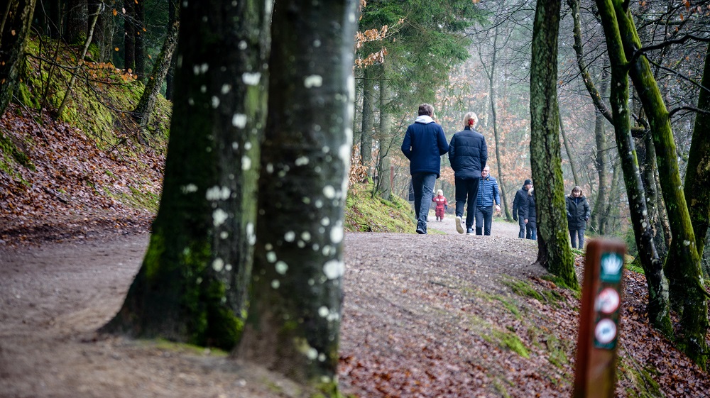 Almind Sø, Silkeborg. Foto Naturstyrelsen