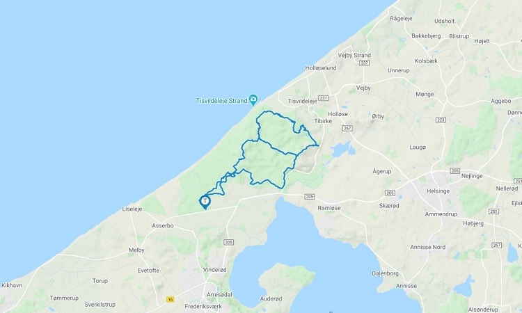 bedste MTB spor Danmark mountainbike spor Tisvilde hegn (2)