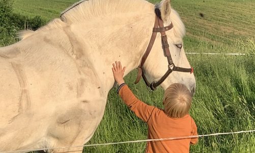 PODCAST: Børn i naturen – på mikroeventyr med hestevogn