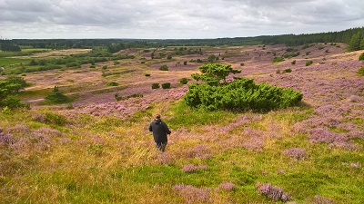 vandre vandreruter hiking i Danmark Kyst til Kyst Stien