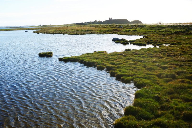 vandre vandreruter hiking i Danmark Mols Bjerge-stien Kalø