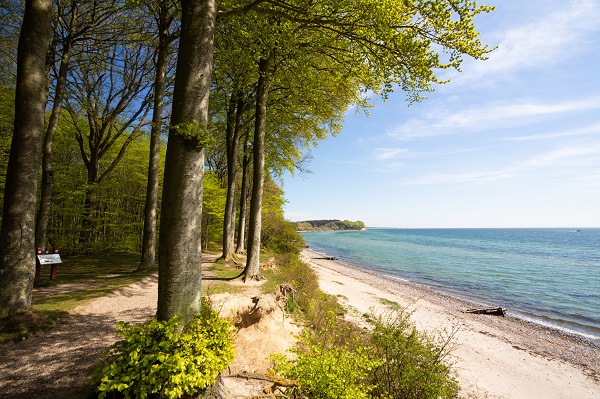 vandreruter vandre hiking i Danmark Gendarmstien Sønderskoven efter Skydebanen