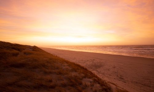 Shelter ved vandet i Vestjylland: De 10 bedste sheltere ved havet