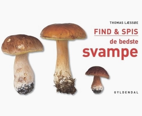 Spisesvampe i Danmark spiselige svampe i danske skove find og spis de bedste svampe