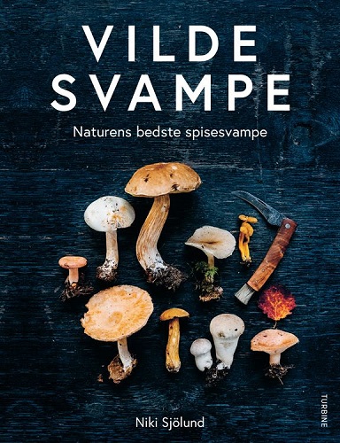 spiselige svampe i danmark spisesvampe i danske skove Vilde svampe – Naturens bedste spisesvampe