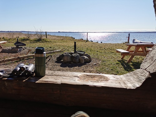 Shelter ved vandet havet Sjælland avnø naturcenter