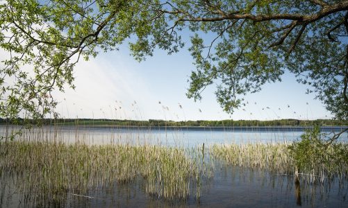 10 nye naturnationalparker: Her skal de ligge