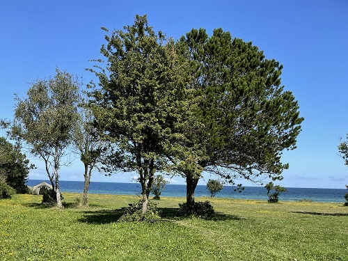 shelter ved vandet havet østjylland rygårde