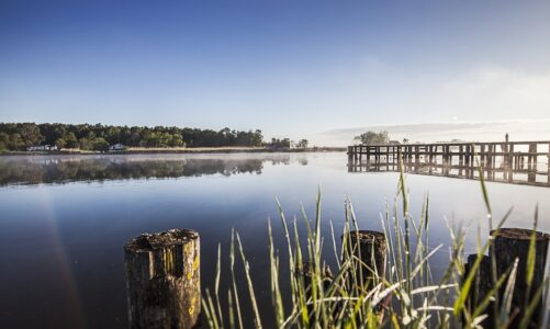 Godt nyt til vandrere: Naturpark Randers Fjord får ny vandresti