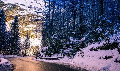 Vinterferie på vejen: Så mange må tilkalde vejhjælp