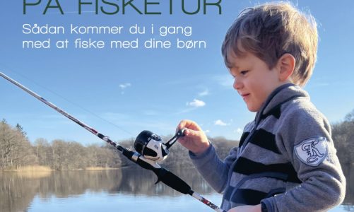 Ny bog for børnefamilier: ‘Friluftsrollinger på fisketur’