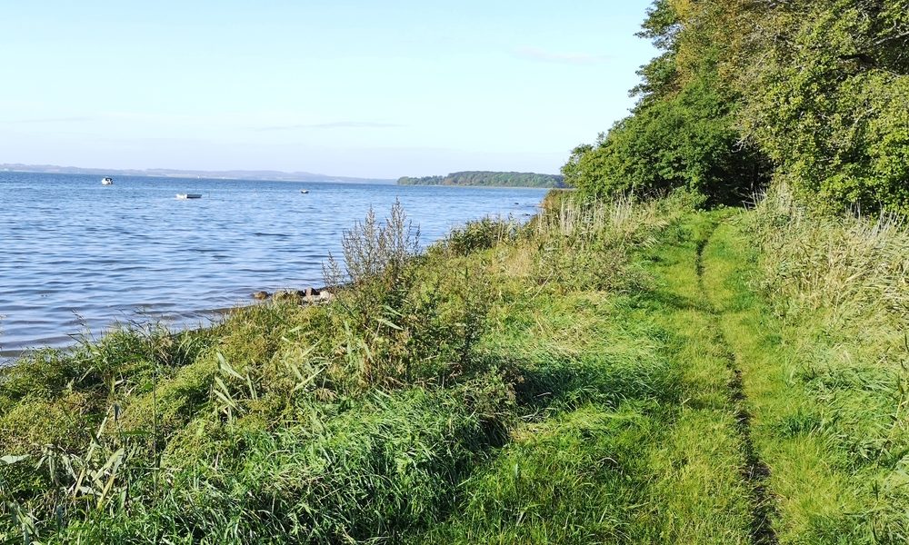 Horsens Fjord