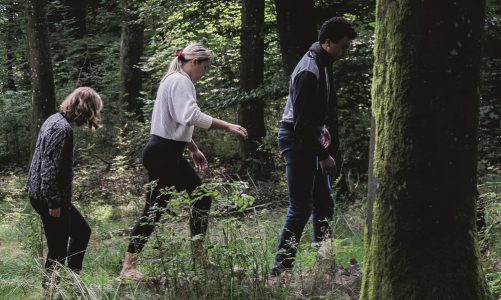 ‘Naturdannelse året rundt’: Ny bog med nye veje i naturen