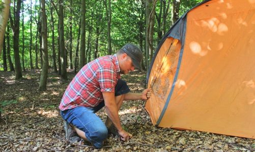 Billig camping i København: Fri teltning i hovedstaden