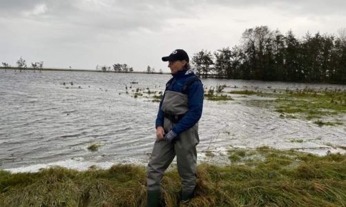 Døde dyr og ændrede rejseplaner: Det betyder det vilde vejr