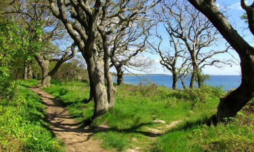 vandrestier danmark naturstier