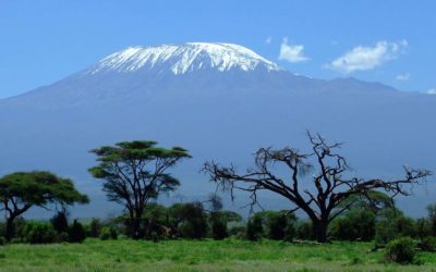 Kilimanjaro Top Tips