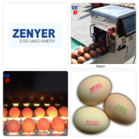 Zenyer_Logo