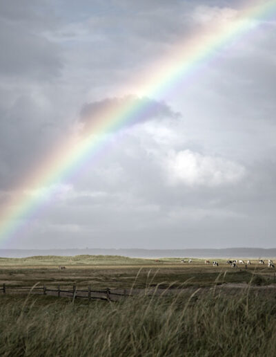 32-regnbue-natur-visitwestdenmark-skallingen-reportagebilleder-annaoverholdt