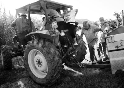 39-vindruehoest-traktor-mandskab-vinhoest-italien-reportagebilleder-annaoverholdt