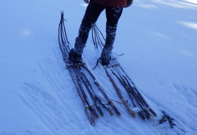 Överlevnadskurs vinter