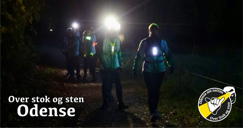 Over stok og sten - Odense om natten