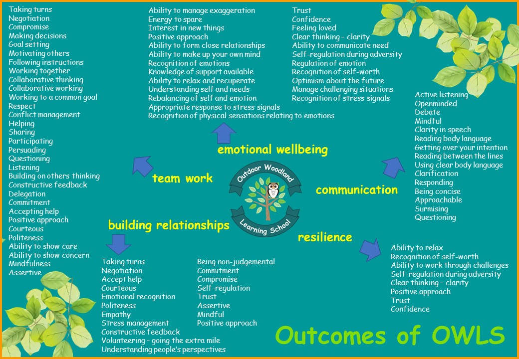 Outcomes of owls cic