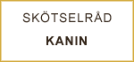 CareKanin2