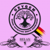 Relax One 0,5L