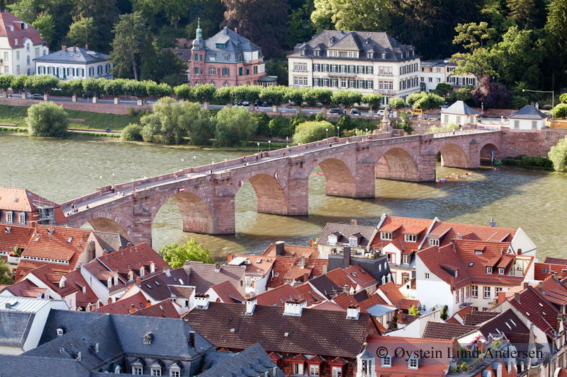 Old bridge, Neckar River.