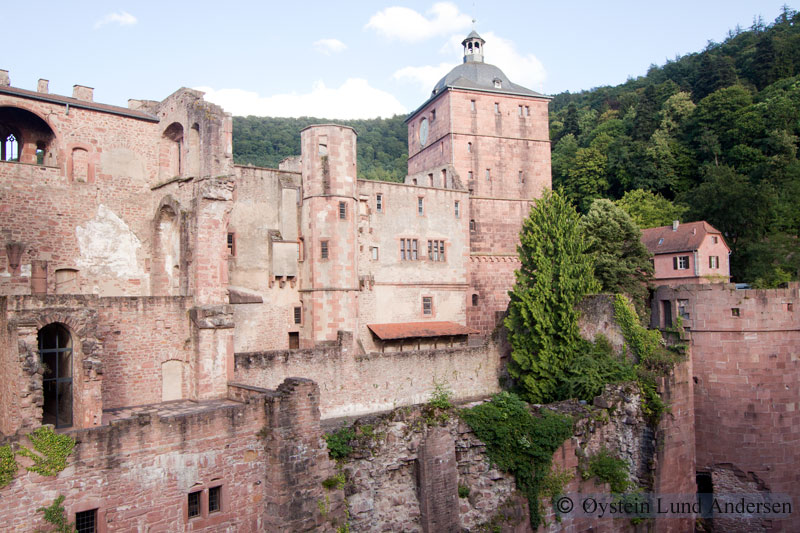 The old Heidelberg Castle.