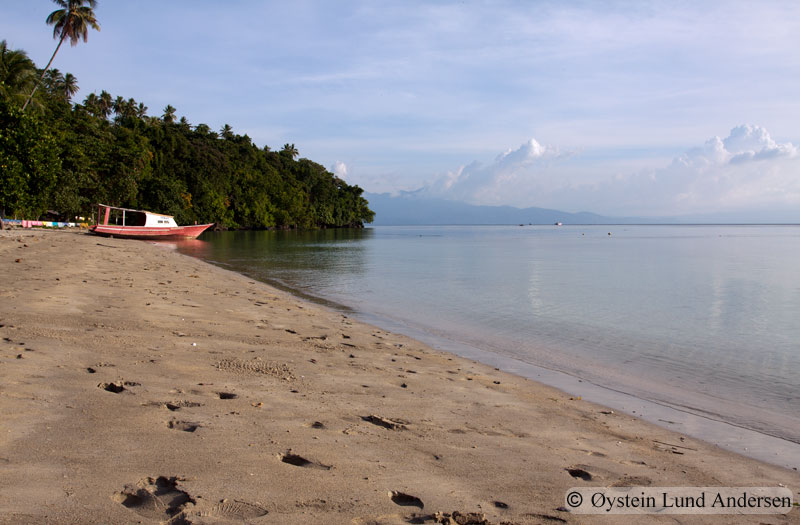 One of the fine beaches on the Bunaken islands 