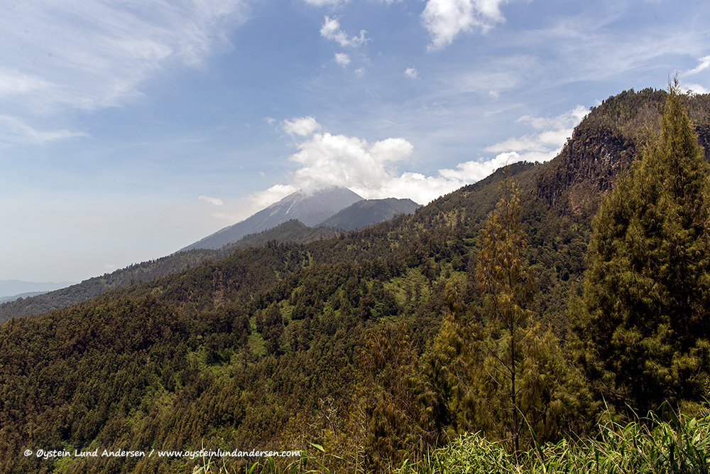 Semeru-volcano-october-2014-(IMG_5724)