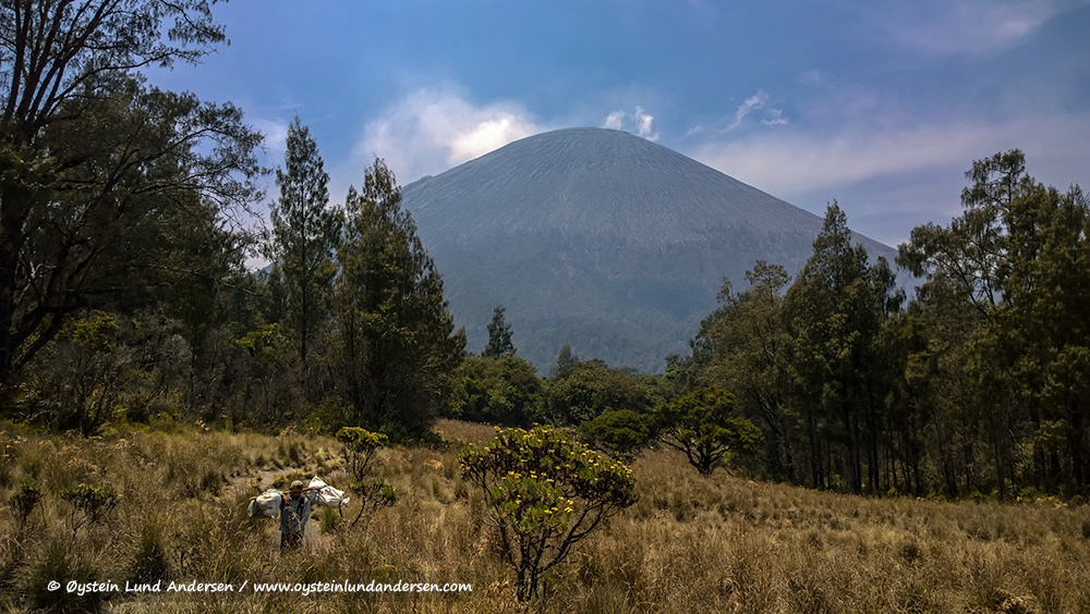 Semeru-volcano-october-2014-(WP_20141011_10_20_16)