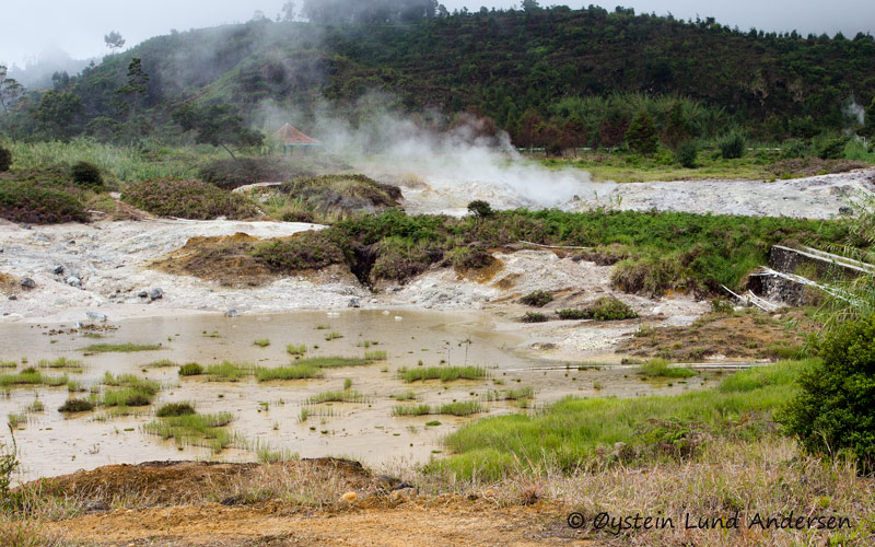 Sikidang Crater Dieng Indonesia