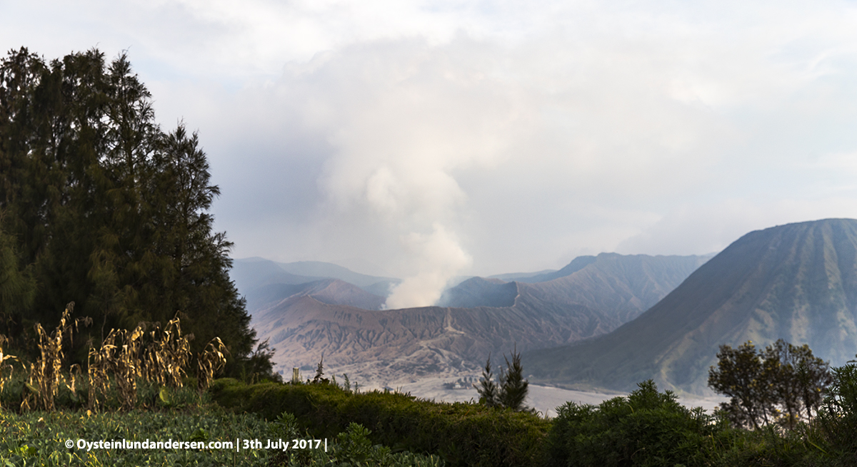 Bromo tengger volcano july 2017